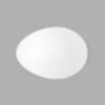 Profile Picture of talon (@crowleyprm5) on Instagram