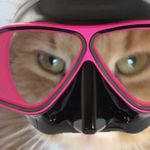 Profile Picture of rudy sie nir dostal (@stefcu_bomba_czad) on Instagram