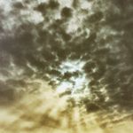 Profile Picture of Josh McWilliams (@joshmcwilliams321) on Instagram