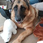 Jayne Parsons - Instagram Profile Picture of Jayne Parsons (@jayne.parsons.712) on Instagram