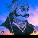 Profile Picture of Ankur Tomar (@ankur.tomar.77331) on Facebook