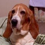 Profile Picture of Dee Wesley (@dwesley8822) on Instagram