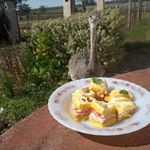 Profile Picture of David_Forts (@david_forts) on Instagram