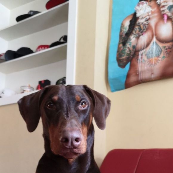 Profile Picture of Antwan Fair (@a_j_fair_james) on Poshmark