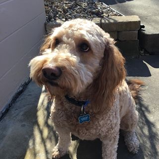 Profile Picture of Lea Mulally (@lea.mulally) on Facebook