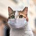 Profile Picture of Cathia Nala (@nala.cath.3) on Facebook