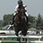 Profile Picture of Chris Kusak (@Chris Kusak) on Flickr