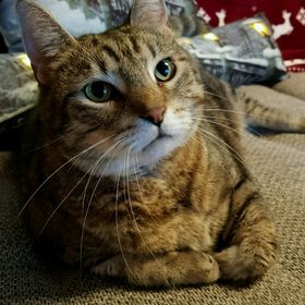 Profile Picture of Jessica Köhlert (@jessicakhlert) on Pinterest