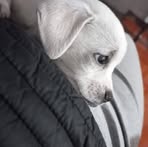 Profile Picture of Lisa Cobac (@Lisa-Cobac) on Facebook