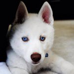 Profile Picture of Alan Zepeda (@alex_smile1298) on Instagram