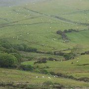 Profile Picture of Patty Mark (@Junerose76) on Pinterest