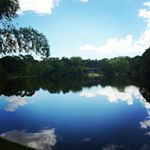 Profile Picture of Simon Purcell (@purcellsimon) on Instagram