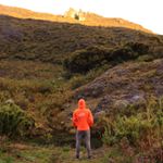 Profile Picture of David Zarnowski (@david_zarnowski) on Instagram