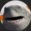 Profile Picture of Chat and chill (@@kingsharkbestwaifu) on Tiktok
