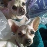 Profile Picture of Shelly Tilley (@tilleyshelly) on Instagram