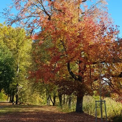 Profile Picture of Pierre-Eric Lutzon Twitter