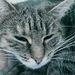 Profile Picture of Paul Nagler (@paulnagl0r) on Pinterest