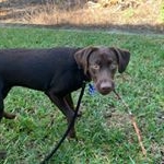 hazel - Instagram Profile Picture of hazel (@smileyhaze) on Instagram