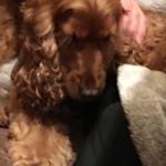 Profile Picture of Alex Errington (@al3x_3rrington) on Instagram