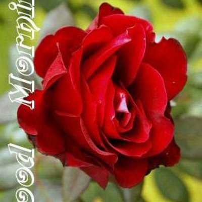 Profile Picture of Updesh Kumar (@updeshkumar9) on Twitter