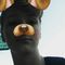 Profile Picture of Brandon Sigmon (@brandon.sigmon.12) on Facebook