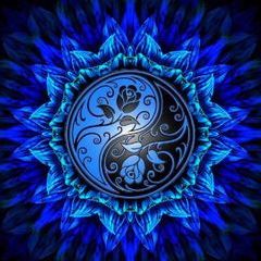 Profile Picture of Janet Donahue (@@janetdonahue) on Tiktok