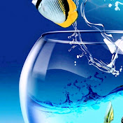 Profile Picture of Tomas Nolasco (@TomasNolasco-wo6lm) on Youtube