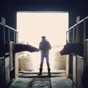 Sanuk Qitsualik - Pinterest Profile Picture of Sanuk Qitsualik (@qitsualik) on Pinterest