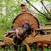 Profile Picture of Ted Read (@ted.read.75) on Facebook
