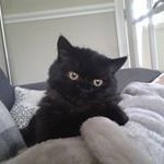 Profile Picture of Marian Walsh (@walsh.marian) on Instagram