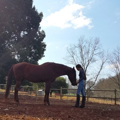 Profile Picture of Chloe Inman (@ChloeInman6383) on Twitter