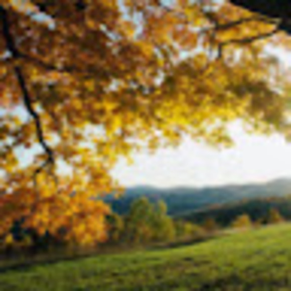 Profile Picture of Amanda Crosby (@acrosby77) on Poshmark