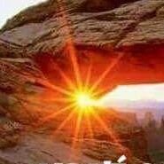 Profile Picture of David Barboza (@Barsadvd) on Twitter