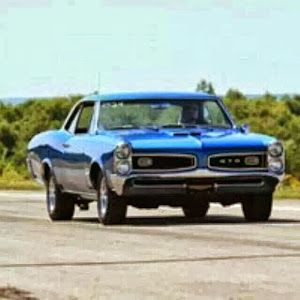 scottsheeder - Tiktok Profile Picture of scottsheeder (@scottsheeder) on Tiktok