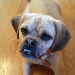 Brian Rathke - Instagram Profile Picture of Brian Rathke (@rathke4) on Instagram