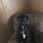 Profile Picture of David Gentry (@david.gentry.18847876) on Instagram