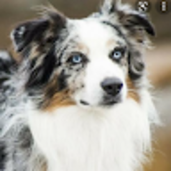 Profile Picture of Grace Erber (@graceerber) on Poshmark