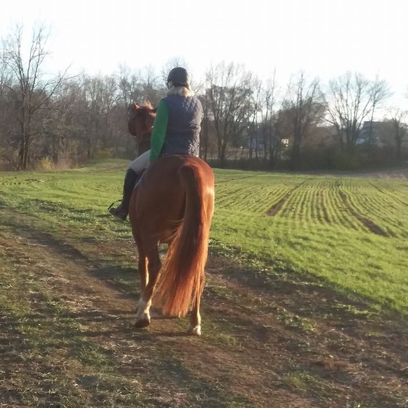 Profile Picture of Fonda Eigel (@summerresort3) on Poshmark