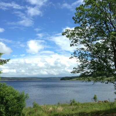 Profile Picture of Beth Pace (@PaceTherapy) on Twitter