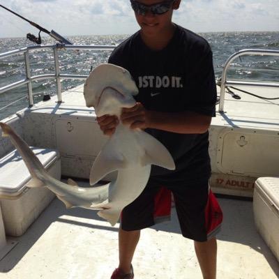 Profile Picture of Nick Dower (@DowerNick) on Twitter