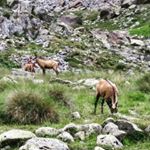 Mike Appiah- Nyarko - Instagram Profile Picture of Mike Appiah- Nyarko (@mikeappiahnyarko) on Instagram