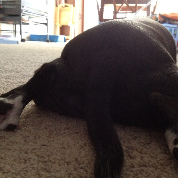 Profile Picture of Joey Puga (@joeypuga) on Poshmark