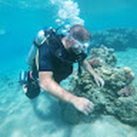 Profile Picture of Alaa Diab (@alaa-diab-32) on Quora