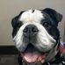 Profile Picture of Mark Stanger (@mark.stanger.3) on Facebook