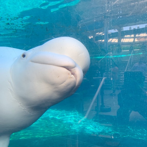 Mark Bronzo - Poshmark Profile Picture of Mark Bronzo (@shannandmark) on Poshmark