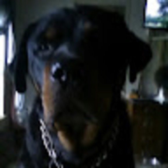 Profile Picture of Nomad's Wanderer (@steffiejob) on Poshmark