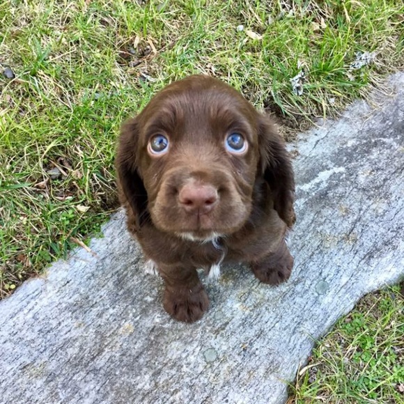 Profile Picture of Caroline Heys (@cbheys) on Poshmark