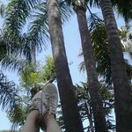 Julie Perron - Instagram Profile Picture of Julie Perron (@perron3196) on Instagram