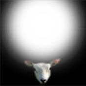 Profile Picture of Ted Van Eeten (@tedvaneeten9978) on Youtube