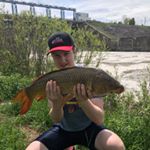Profile Picture of Mark Kiefer (@marksharky05) on Instagram